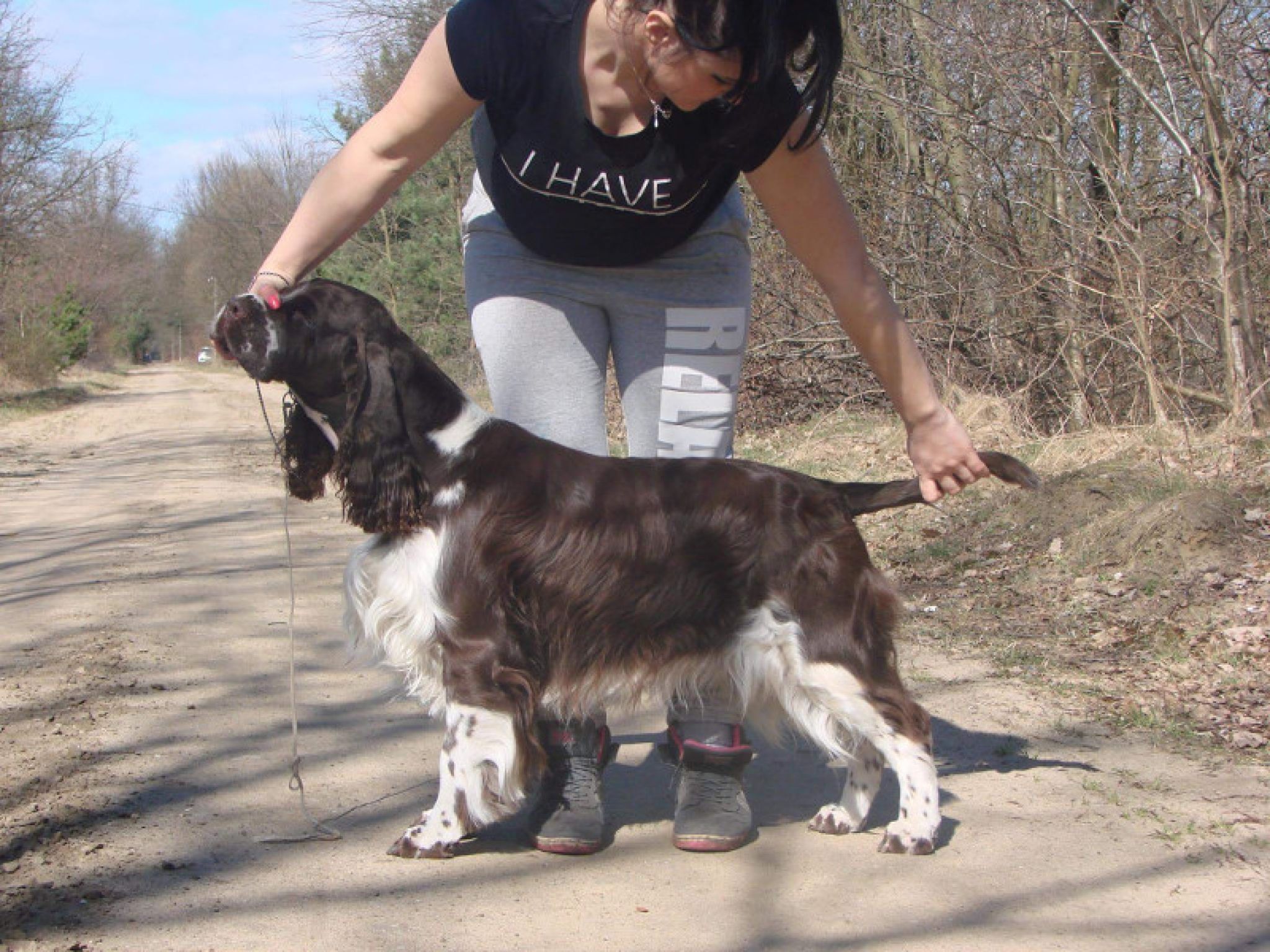 Ch.PL RobinsSon Rough Petito Bonito