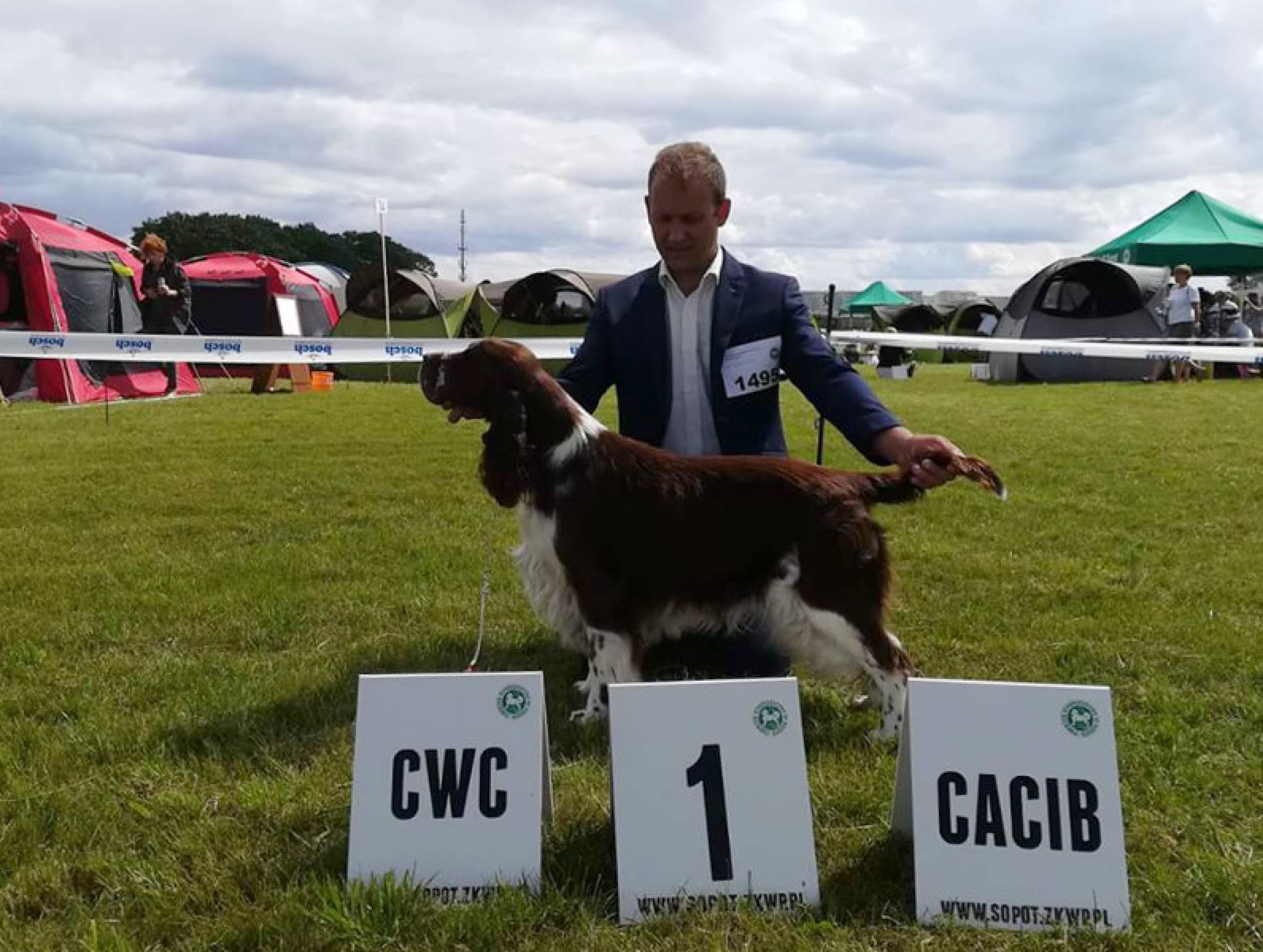 Ch.PL RobinsSon Rough Petito Bonito