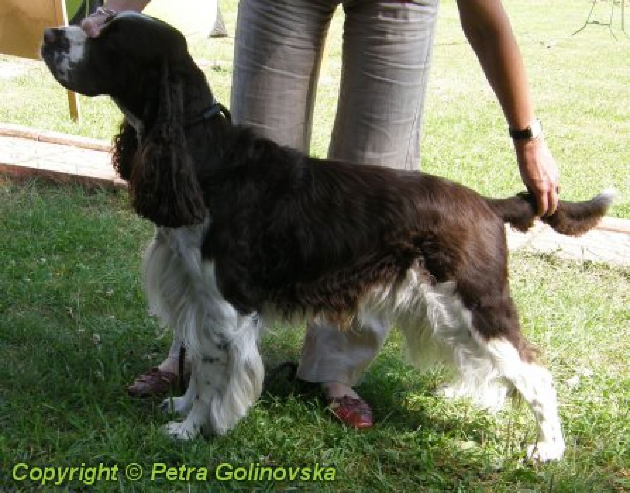 Wildomar's BRAVE BARCHELOR